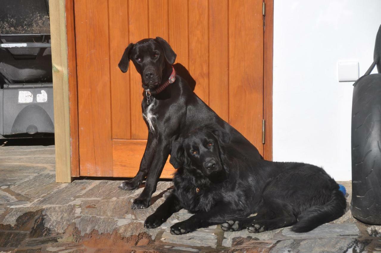 Gasthaus Quinta Do Bom Vento Óbidos Exterior foto